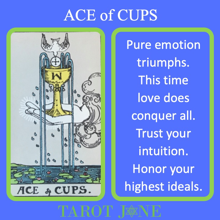 The RWS Minor Arcana Tarot Card, Ace of Cups, shows the Holy Grail over the sea indicating pure ideals and love.