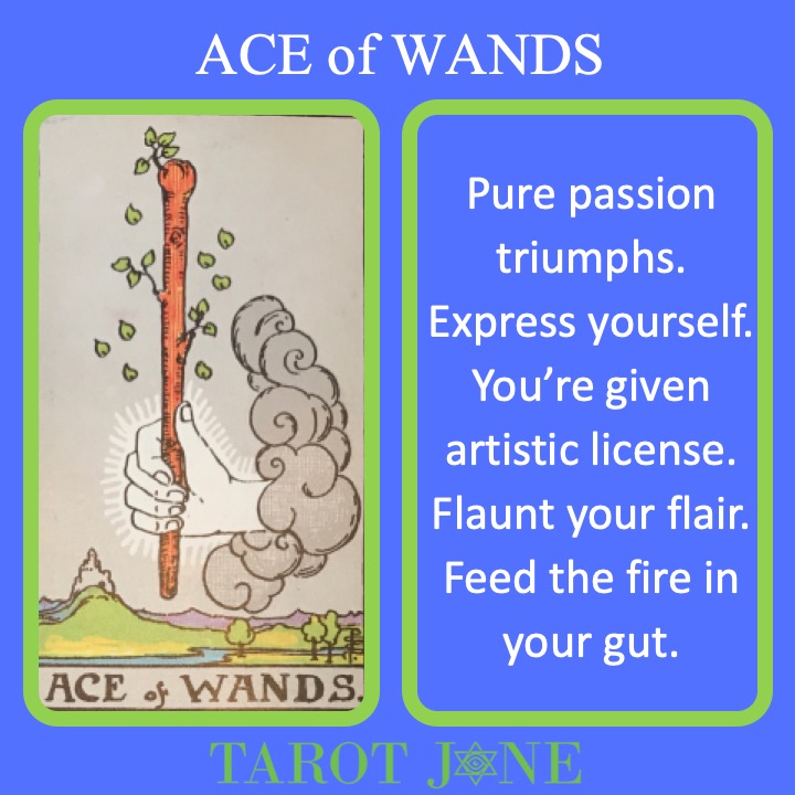 The RWS Minor Arcana Tarot Card, Ace of Wands, shows a living wand over land indicating the rising of passion.