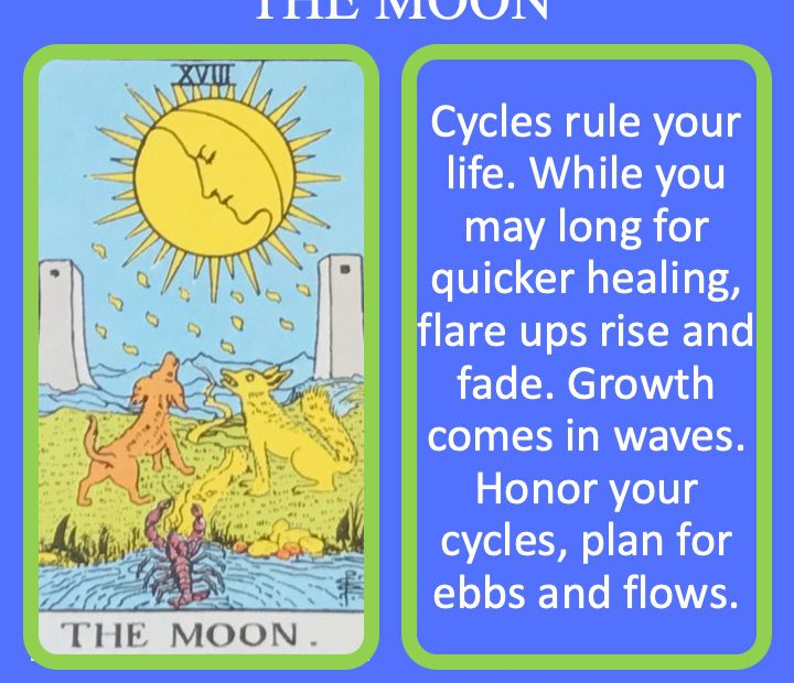 The 19th RWS Major Arcana Tarot Card shows two animals howling at the Moon and indicates the cycles of life.