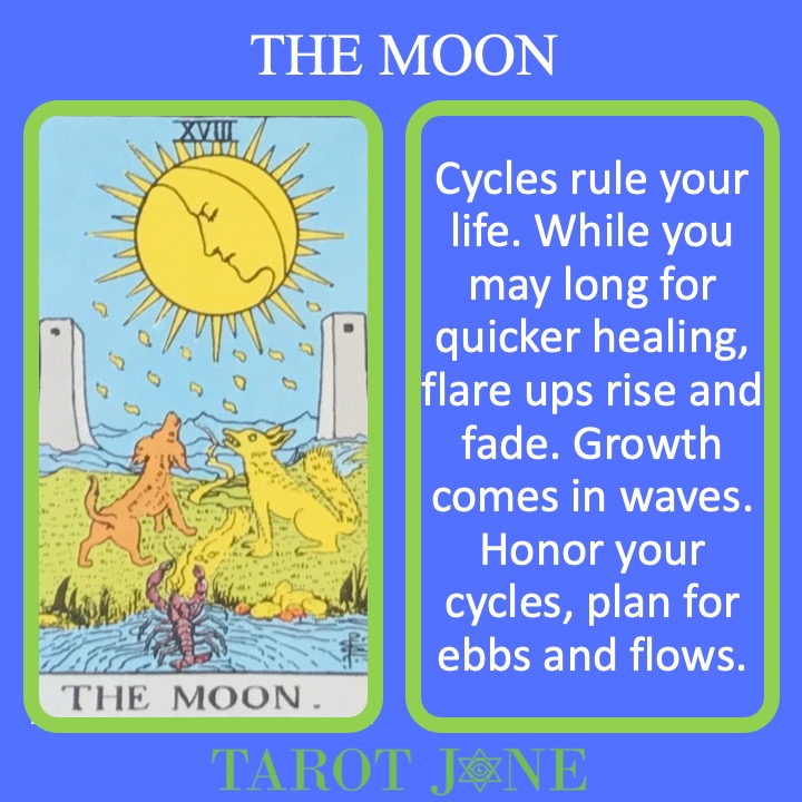 The 19th RWS Major Arcana Tarot Card shows two animals howling at the Moon and indicates the cycles of life.