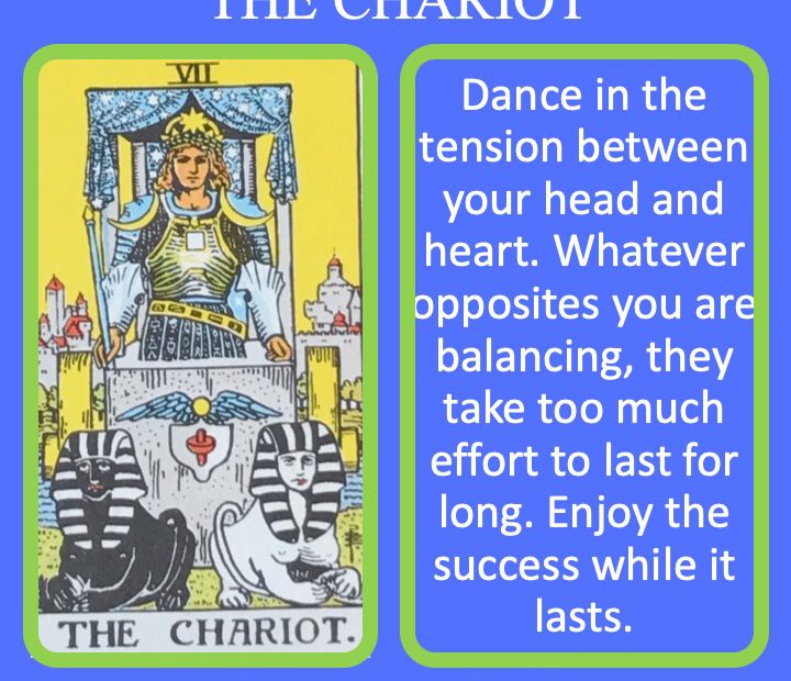 The 8th RWS Major Arcana Tarot card shows a charioteer holding the reigns of two opposite mounts and indicates a short season in the sun.