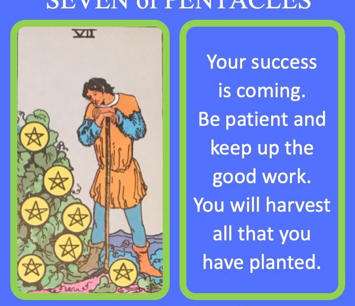 The RWS Minor Arcana Tarot Card, 7 of Pentacles, shows a farmer looking over their growing crop indicating nurturing future success.