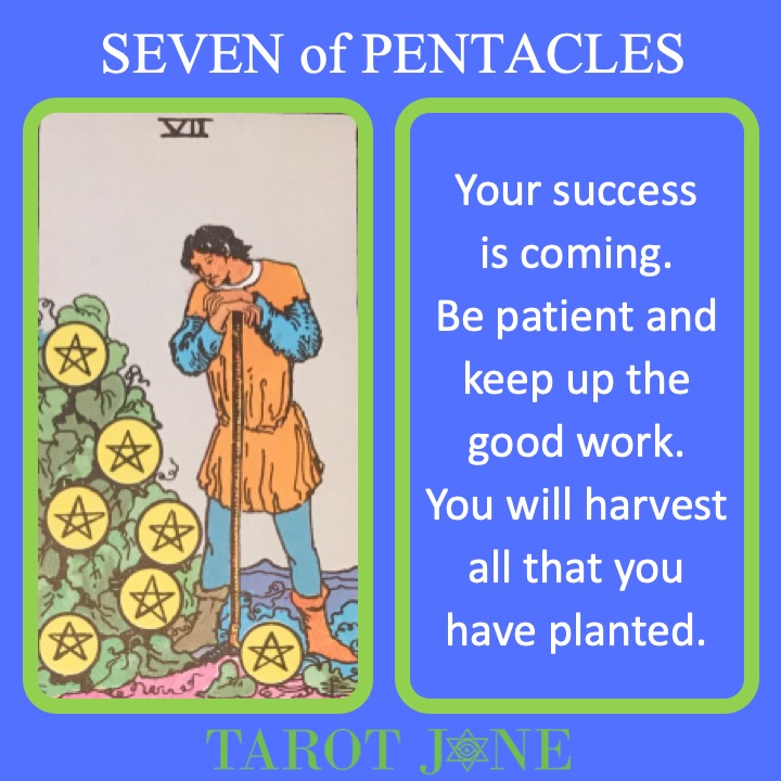 The RWS Minor Arcana Tarot Card, 7 of Pentacles, shows a farmer looking over their growing crop indicating nurturing future success. 