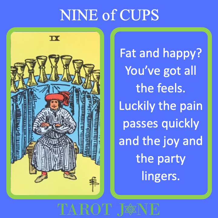 The RWS Minor Arcana Tarot Card, the 9 of Cups, shows a satisfied adult before their many cups indicating emotional maturity and resilience. 