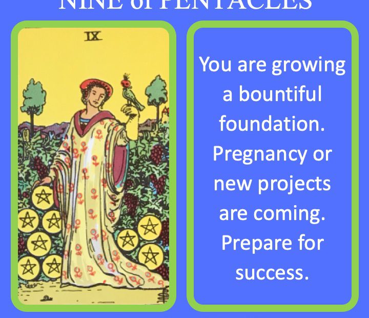 The RWS Minor Tarot Card, the 9 of Pentacles, shows a successful woman admiring her land indicating growing wealth and resources.