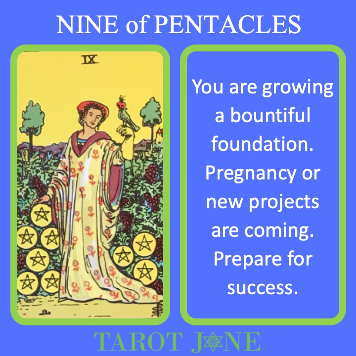 The RWS Minor Tarot Card, the 9 of Pentacles, shows a successful woman admiring her land indicating growing wealth and resources.