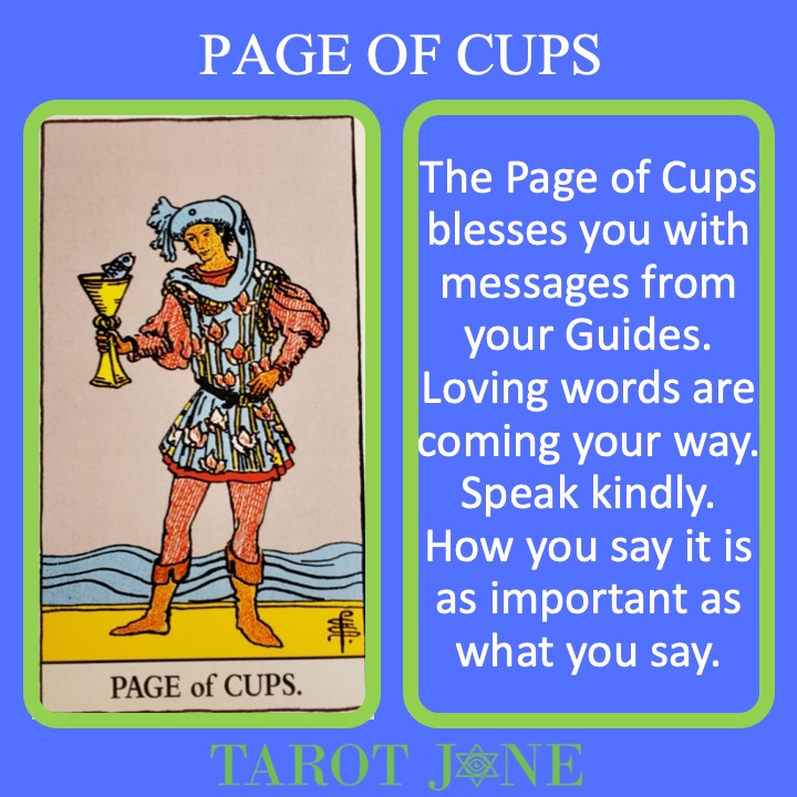 The RWS Court Card, Page of Cups, shows a young person holding a chalice with a fish inside indicating intuitive and emotional messages possibly from Spirit.