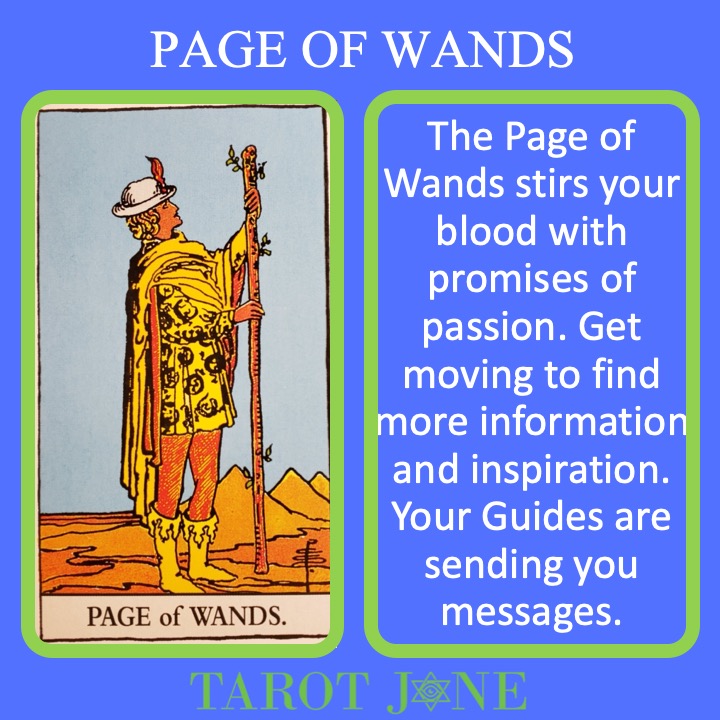 The RWS Court Card, the Page of Wands, shows a youth holding a living walking staff indicating the messages are on their way especially regarding passion projects.